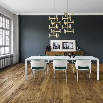Bright modern dining room with a white table and six white chairs with green cushions, wooden floor, dark blue feature wall, and gold chandeliers.