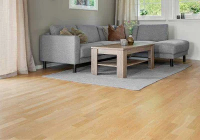 Light Laminate Flooring Living Room