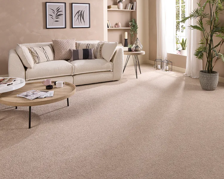 Cosy beige living room with a cream sofa and neutral cushions, a round wooden coffee table, shelves and potted plants beside a bright window.